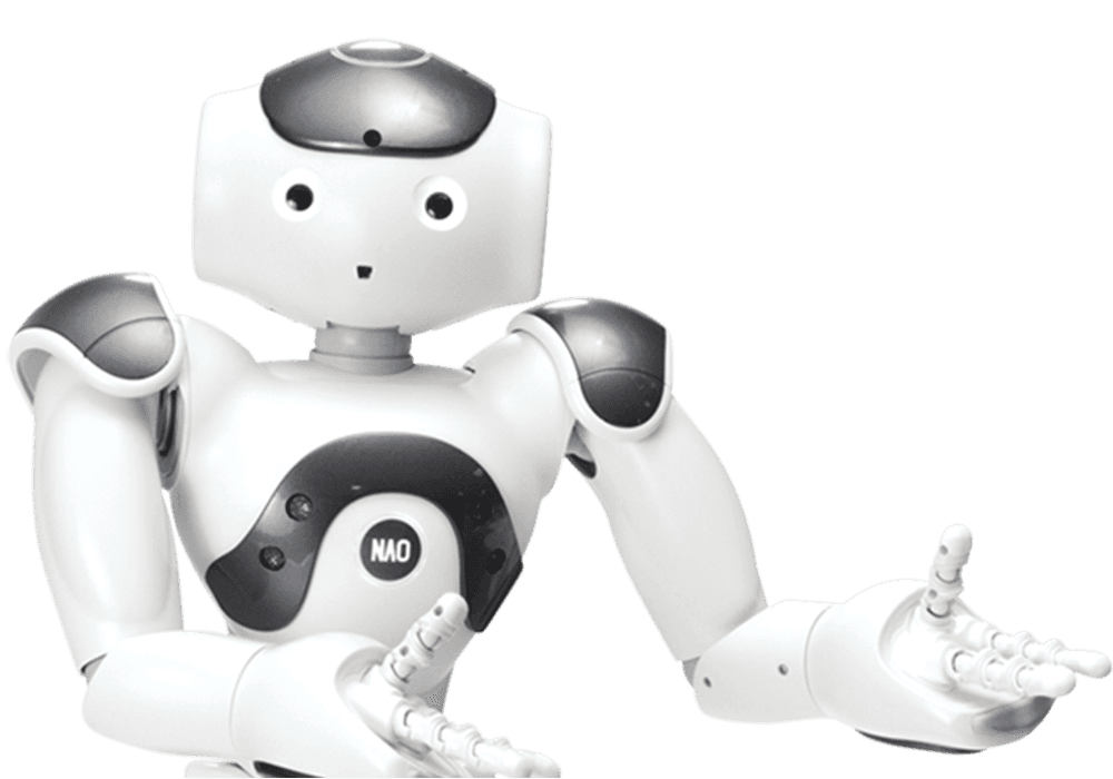 Robot
